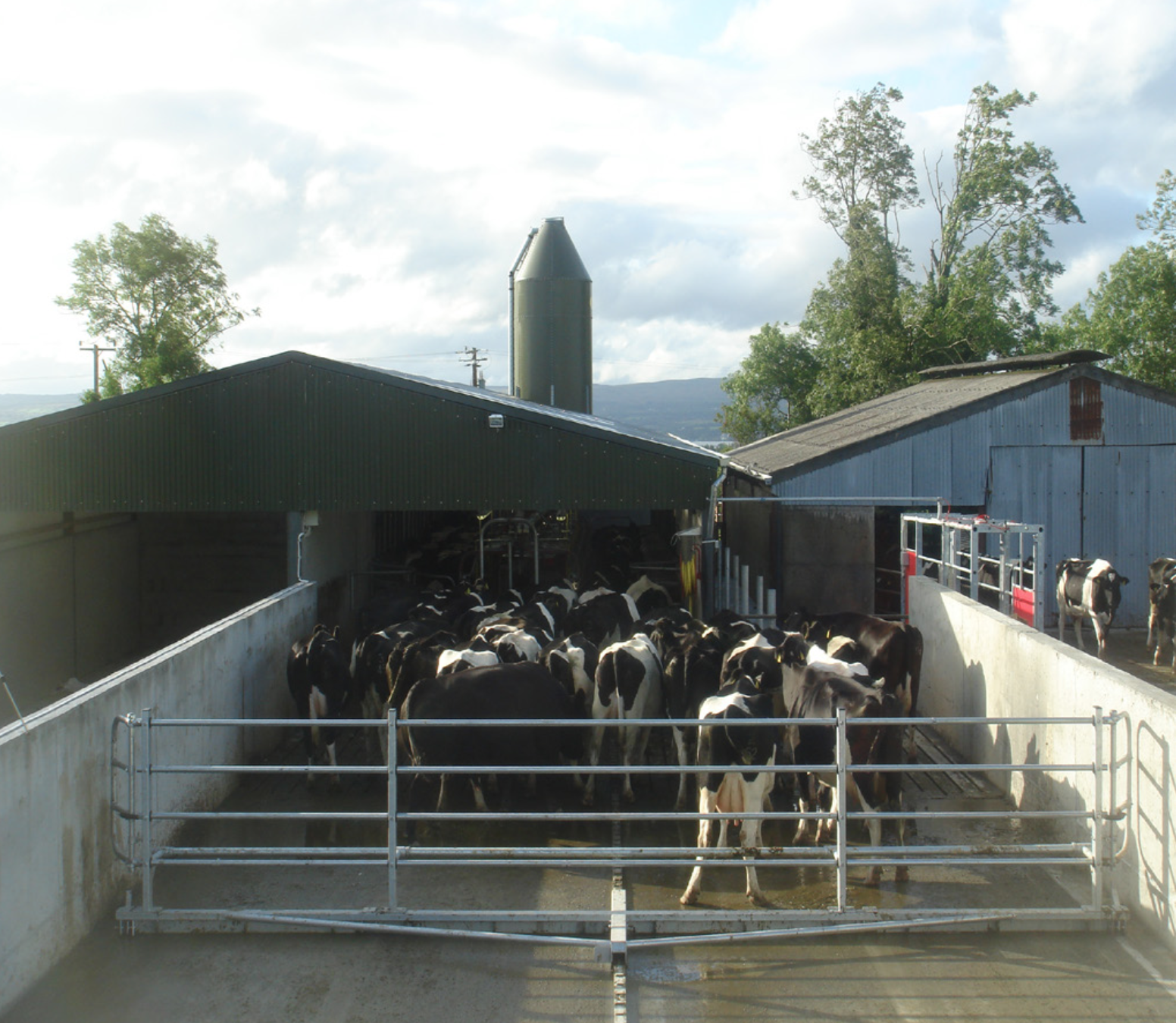 Агро Альфа Commander Подгонщик стада , Агро Альфа, Агро Альфа Milking Machine