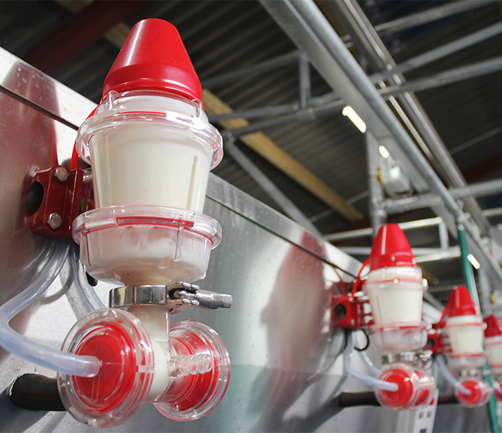 Агро Альфа, Агро Альфа Milking Machine, Rotary Milking Parlour, Milking Parlour, Агро Альфа Rotary