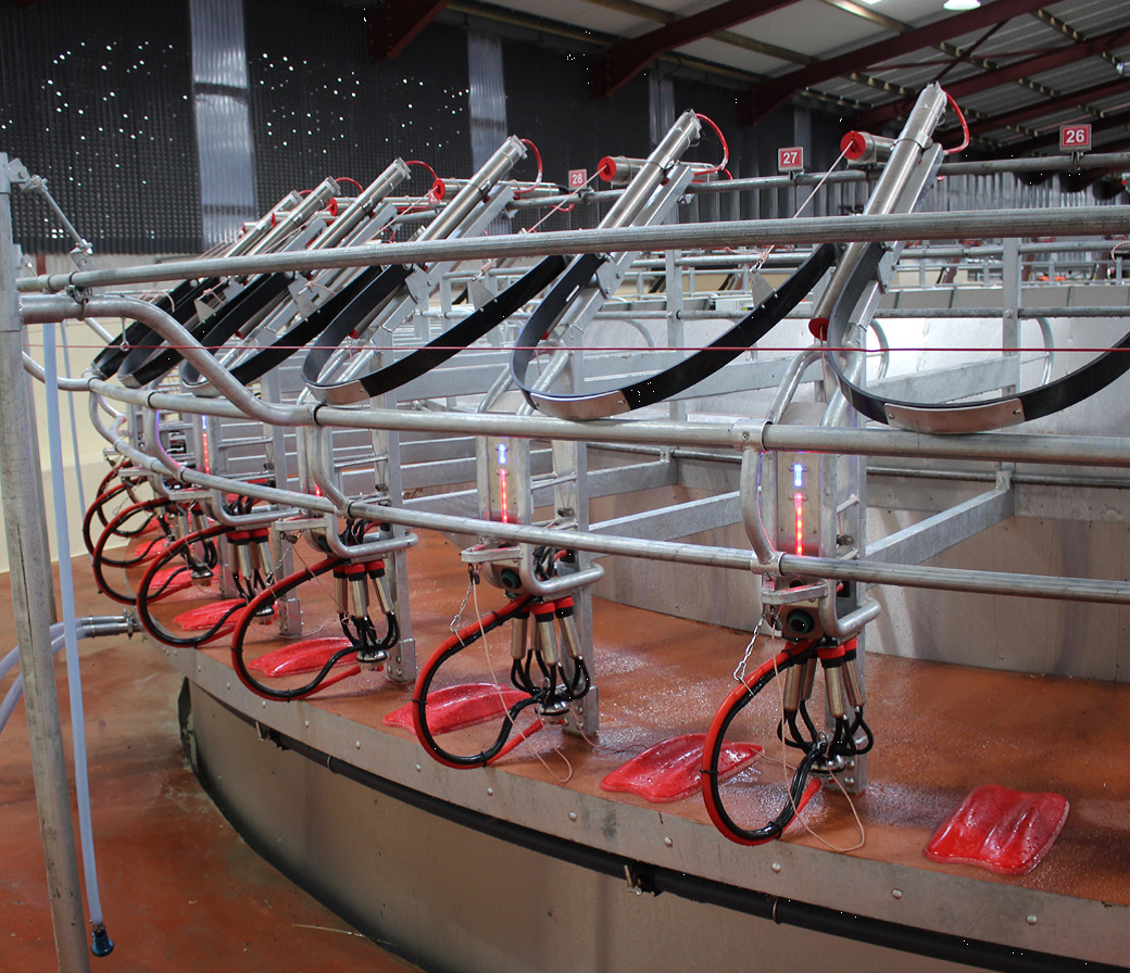 Агро Альфа, Rotary Milking Parlour , Агро Альфа Rotary Parlour,Rotary Milking Machine