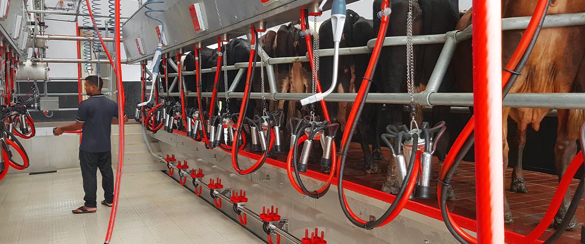 Агро Альфа Feed Systems