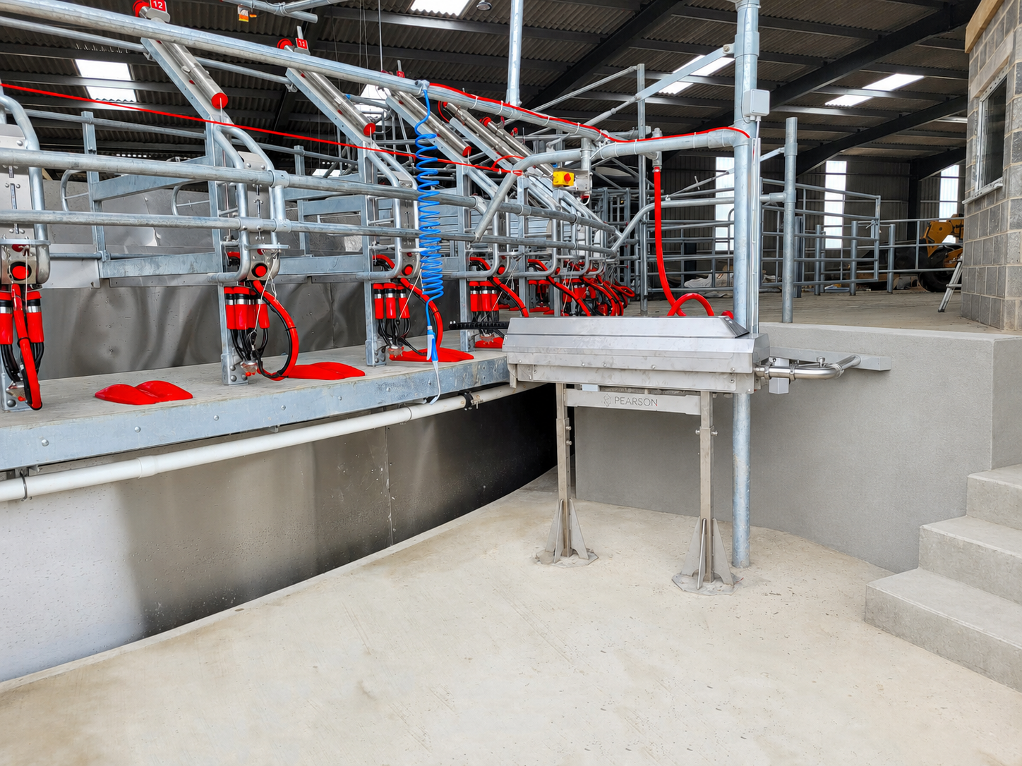 Обработка сосков in rotary parlour