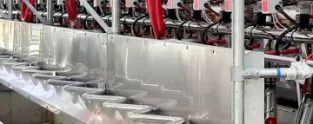 Доильное оборудование для молочных ферм